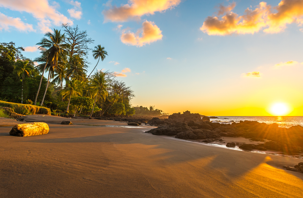 Sunset along the beach in Corcovado National Park by the Pacific Ocean with the silhouette of tropical palm trees, Osa Peninsula, Costa Rica, Central America.
