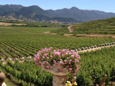 Santa Cruz Winery