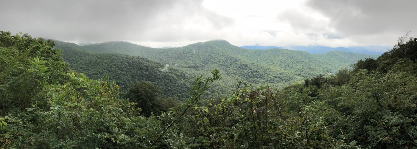 Asheville
