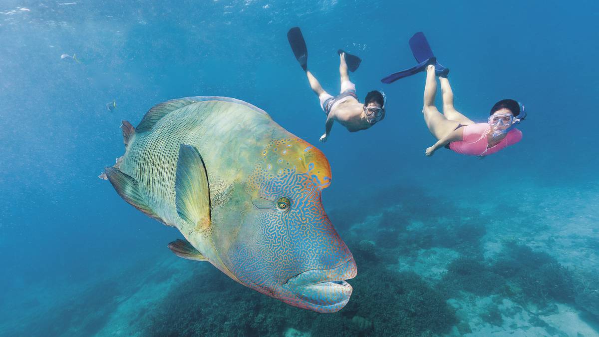 8. Fly away to natural wonders in Australia