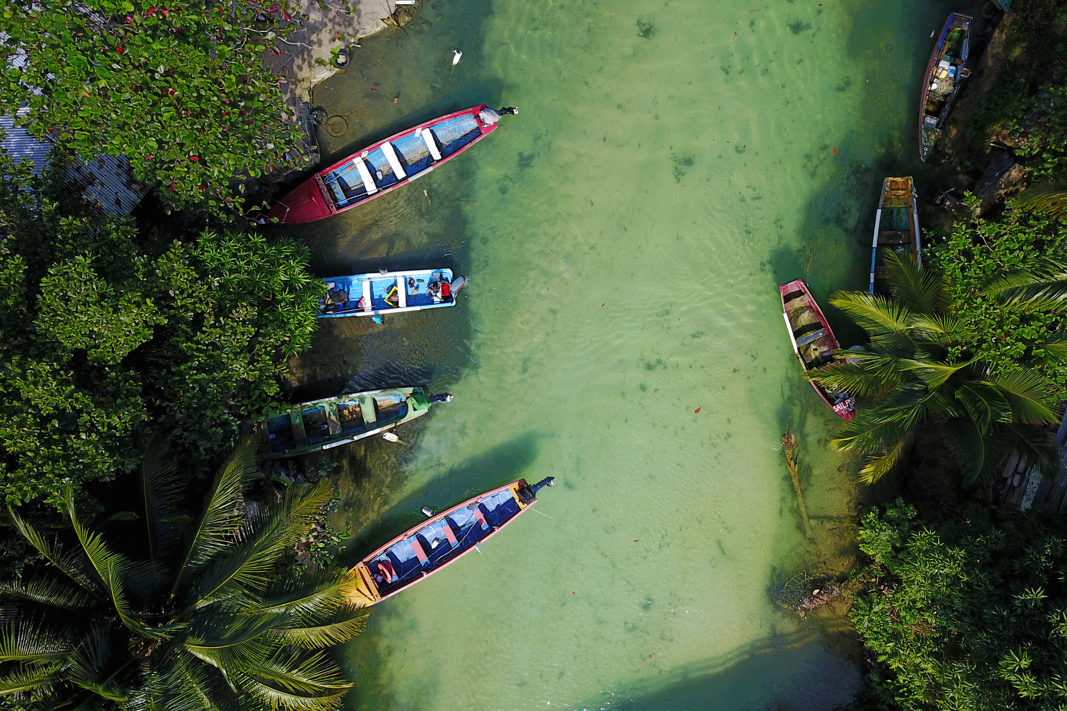 rafting in Jamaica