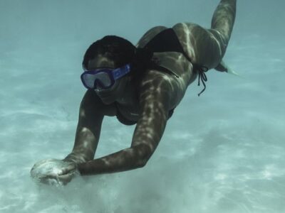 Swim With Dolphins at Dolphin Cove