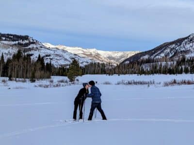 Skiing and Snowboarding