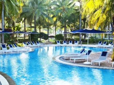 Outdoor pool, sun loungers