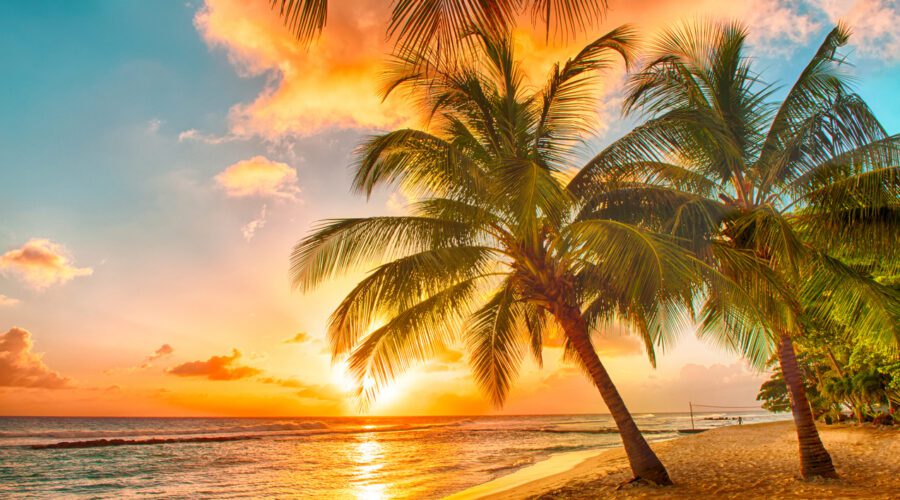 The Caribbean
